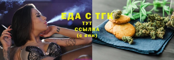 эйфоретик Гусь-Хрустальный