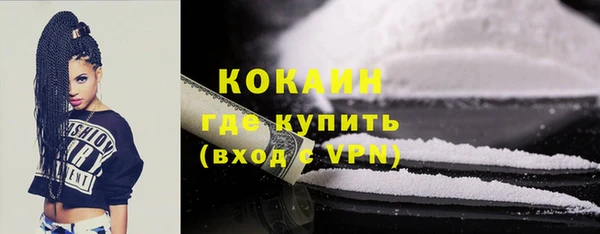 эйфоретик Гусь-Хрустальный