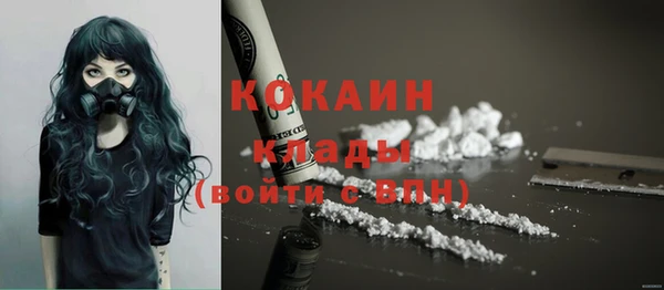 шишки Дмитровск