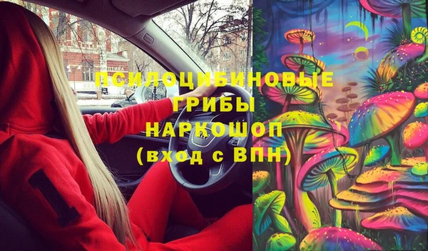 эйфоретик Гусь-Хрустальный
