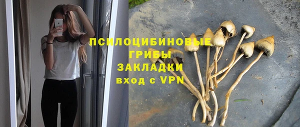 первитин Дмитров