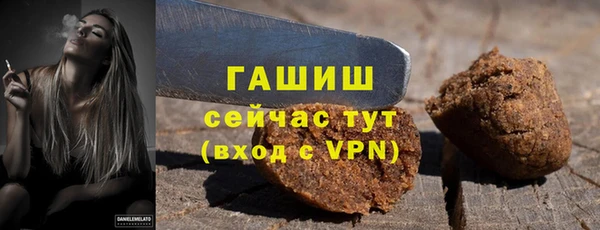 шишки Дмитровск
