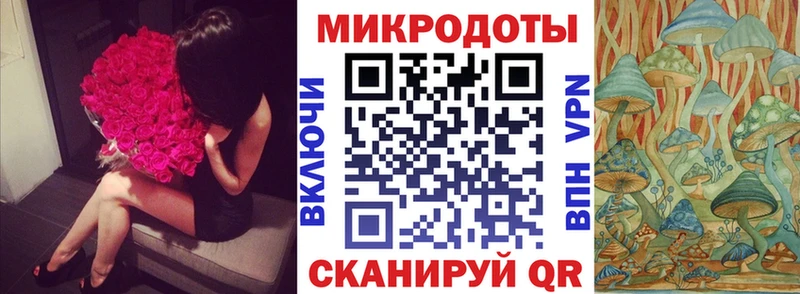 Псилоцибиновые грибы Psilocybe  Бежецк 